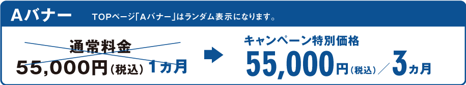 プレミアムバイ　Aプラン